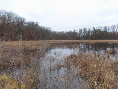 Tiny photo for 1122 Badger Avenue, Nekoosa, WI 54457 (MLS # 1989593)