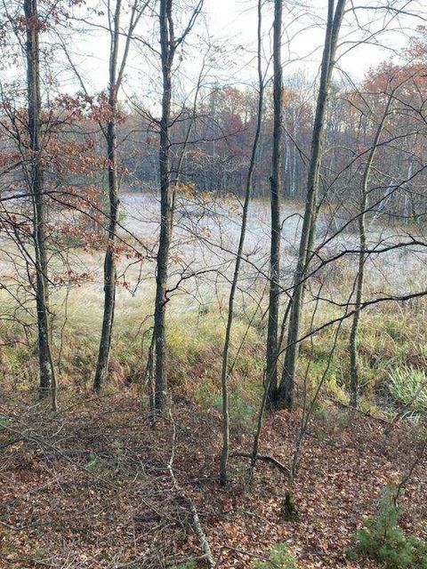 Tiny photo for 1122 Badger Avenue, Nekoosa, WI 54457 (MLS # 1989593)