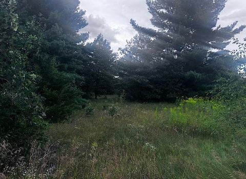 Tiny photo for Lot 16 Gale, Wisconsin Dells, WI 53965 (MLS # 1984205)