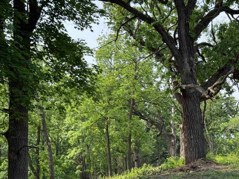 Tiny photo for 229 Whitetail Lane 27 #27, Deerfield, WI 53531 (MLS # 2012571)