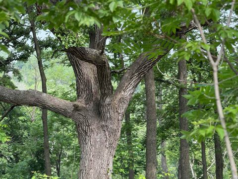 Tiny photo for 229 Whitetail Lane 27 #27, Deerfield, WI 53531 (MLS # 2012571)