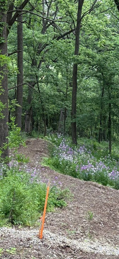 Tiny photo for 229 Whitetail Lane 27 #27, Deerfield, WI 53531 (MLS # 2012571)