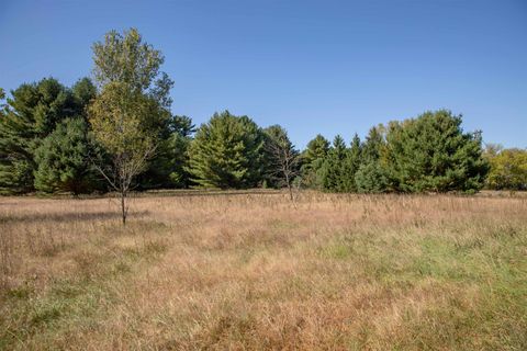Tiny photo for N7011 County Rd E, Westfield, WI 53964 (MLS # 2010058)