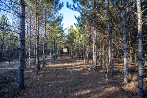 Tiny photo for Lot 5 11th Drive, Friendship, WI 53934 (MLS # 2012786)