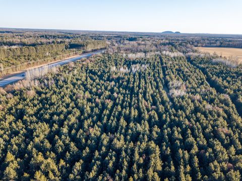 Tiny photo for Lot 5 11th Drive, Friendship, WI 53934 (MLS # 2012786)