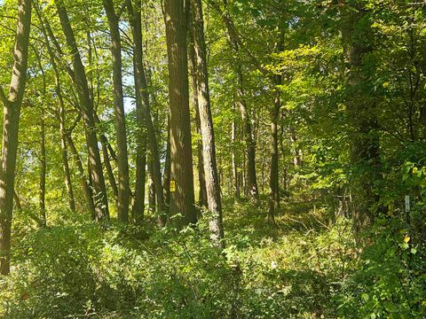 Tiny photo for E9088 State Hwy 82, Viroqua, WI 54665 (MLS # 2012873)