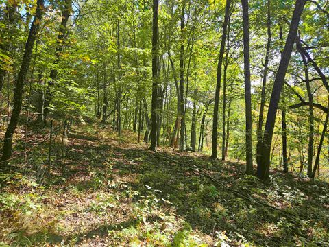 Tiny photo for E9088 State Hwy 82, Viroqua, WI 54665 (MLS # 2012873)