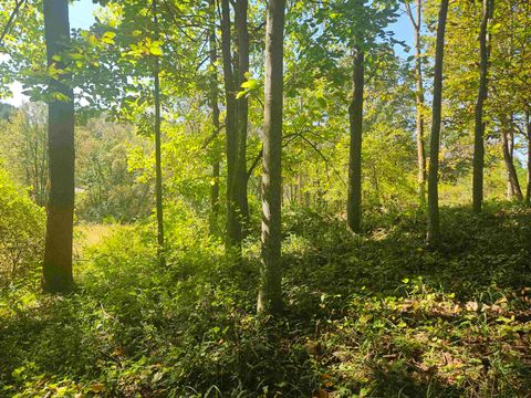 Tiny photo for E9088 State Hwy 82, Viroqua, WI 54665 (MLS # 2012873)