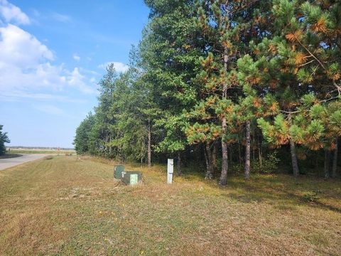 Tiny photo for 996 Blackhawk Court, Hancock, WI 54943 (MLS # 2009363)