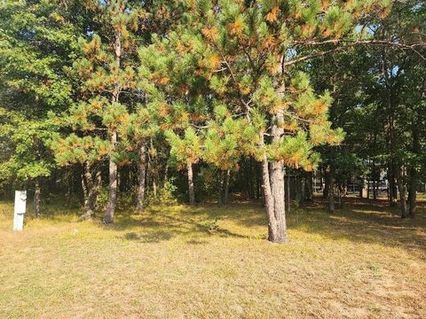 Tiny photo for 996 Blackhawk Court, Hancock, WI 54943 (MLS # 2009363)