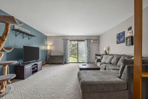 Photo of 1015 N Sunnyvale Lane D #D, Madison, WI 53713 (MLS # 2016673)