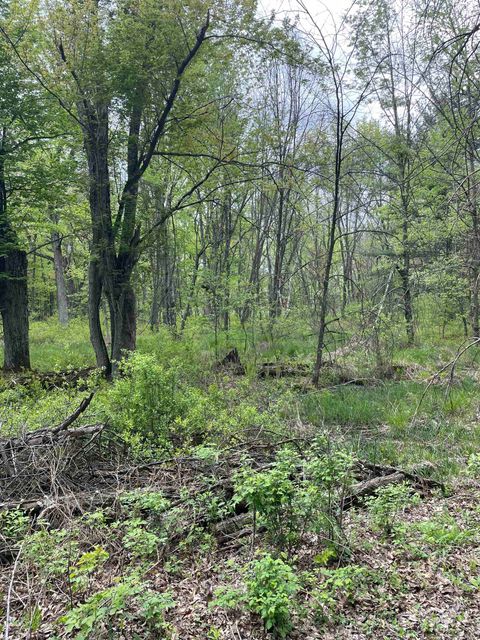 Tiny photo for 1.62 Ac Deer Run Road, Montello, WI 53949 (MLS # 2004466)