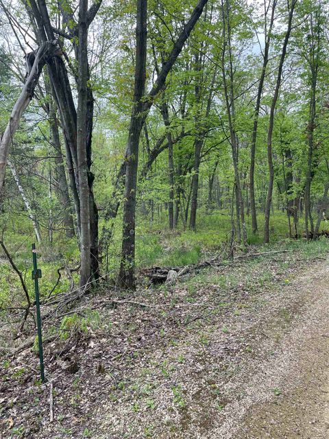 Tiny photo for 1.62 Ac Deer Run Road, Montello, WI 53949 (MLS # 2004466)