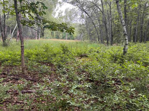 Tiny photo for 1.62 Ac Deer Run Road, Montello, WI 53949 (MLS # 2004466)