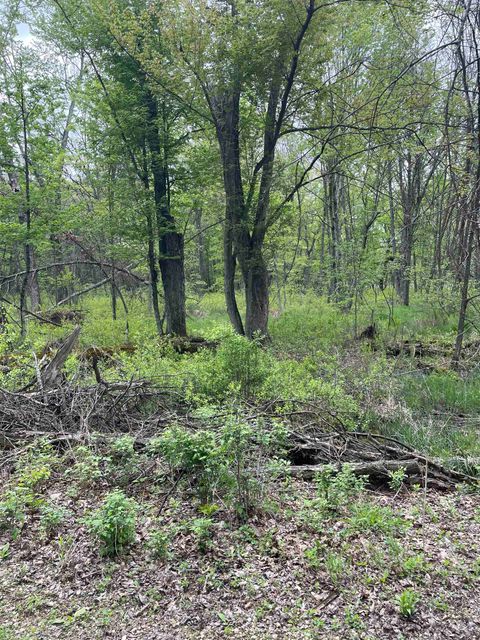 Tiny photo for 1.62 Ac Deer Run Road, Montello, WI 53949 (MLS # 2004466)