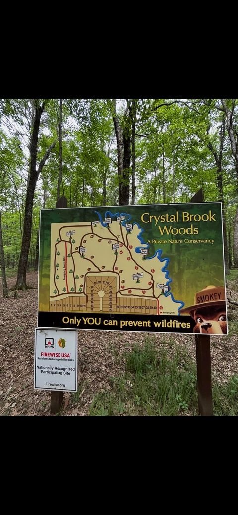 Tiny photo for 1662 20th Avenue, Arkdale, WI 54613 (MLS # 2005271)