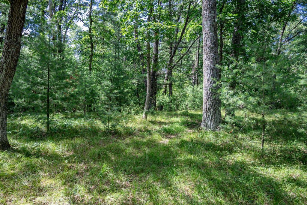 Photo for 1662 20th Avenue, Arkdale, WI 54613 (MLS # 2005271)