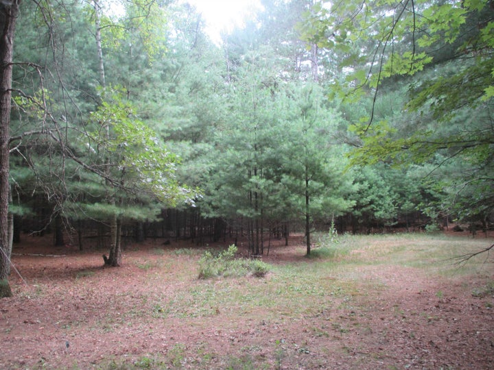 Photo 1 of 2 — W5682 Meiller Road, Montello, WI 53949