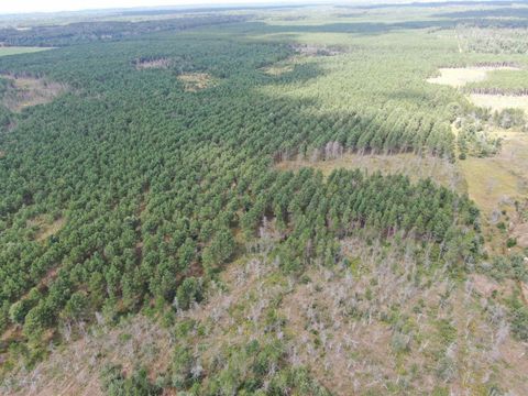 Tiny photo for 40 AC 16th Ave Acres, Arkdale, WI 54613 (MLS # 2009957)