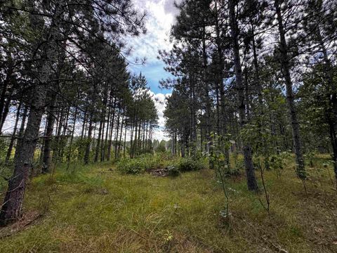 Tiny photo for 40 AC 16th Ave Acres, Arkdale, WI 54613 (MLS # 2009957)