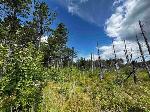 Tiny photo for 40 AC 16th Ave Acres, Arkdale, WI 54613 (MLS # 2009957)