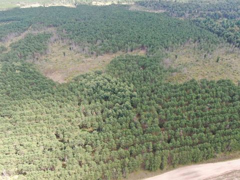 Tiny photo for 40 AC 16th Ave Acres, Arkdale, WI 54613 (MLS # 2009957)