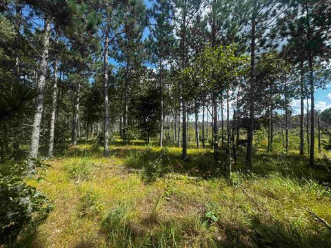 Tiny photo for 40 AC 16th Ave Acres, Arkdale, WI 54613 (MLS # 2009957)