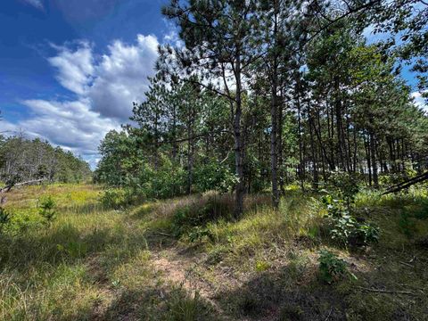 Tiny photo for 40 AC 16th Ave Acres, Arkdale, WI 54613 (MLS # 2009957)