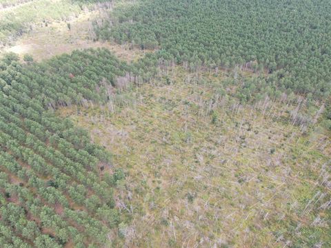 Tiny photo for 40 AC 16th Ave Acres, Arkdale, WI 54613 (MLS # 2009957)