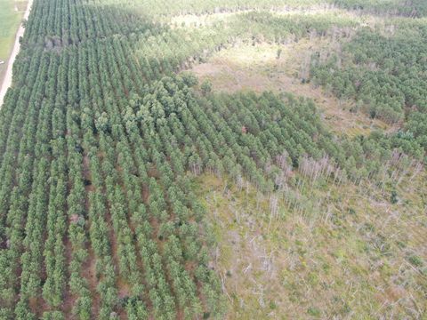 Tiny photo for 40 AC 16th Ave Acres, Arkdale, WI 54613 (MLS # 2009957)