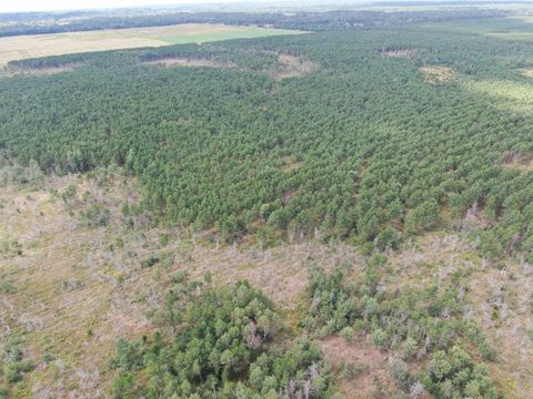 Tiny photo for 40 AC 16th Ave Acres, Arkdale, WI 54613 (MLS # 2009957)