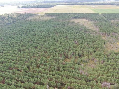 Tiny photo for 40 AC 16th Ave Acres, Arkdale, WI 54613 (MLS # 2009957)