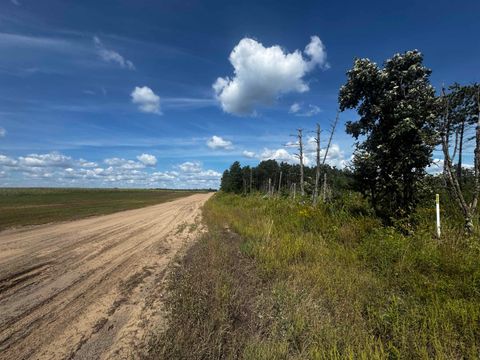 Tiny photo for 40 AC 16th Ave Acres, Arkdale, WI 54613 (MLS # 2009957)