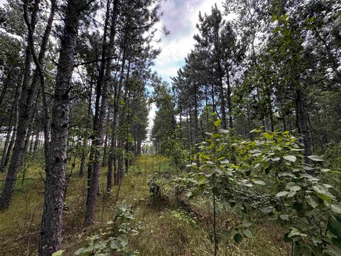 Tiny photo for 40 AC 16th Ave Acres, Arkdale, WI 54613 (MLS # 2009957)