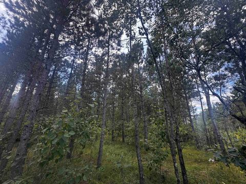 Tiny photo for 40 AC 16th Ave Acres, Arkdale, WI 54613 (MLS # 2009957)