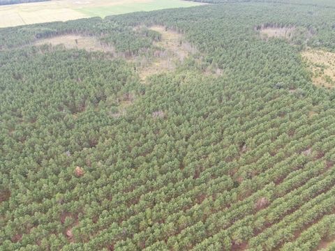 Tiny photo for 40 AC 16th Ave Acres, Arkdale, WI 54613 (MLS # 2009957)