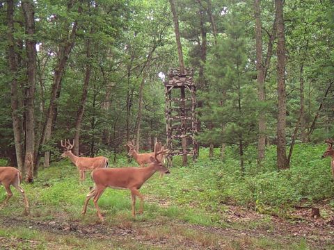 Tiny photo for 875 Fawn Lane, Grand Marsh, WI 53936 (MLS # 2001647)