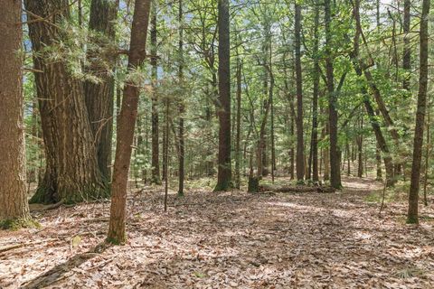 Tiny photo for 875 Fawn Lane, Grand Marsh, WI 53936 (MLS # 2001647)