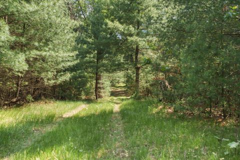 Tiny photo for 875 Fawn Lane, Grand Marsh, WI 53936 (MLS # 2001647)