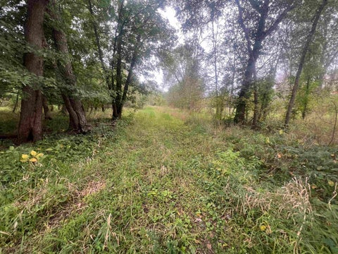 Photo of 58.4 Acres Highway 33, Portage, WI 53901 (MLS # 2033831)