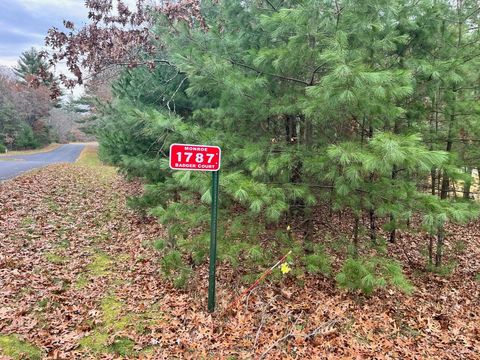 Photo of 1787 Badger Court, Arkdale, WI 54613 (MLS # 2013028)