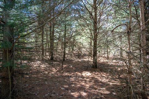 Tiny photo for 6.51 AC County Road C, Montello, WI 53949 (MLS # 1999805)