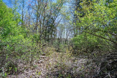 Tiny photo for 6.51 AC County Road C, Montello, WI 53949 (MLS # 1999805)