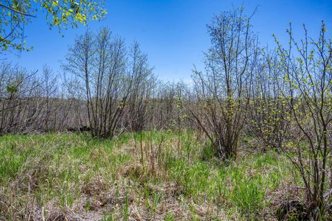 Tiny photo for 6.51 AC County Road C, Montello, WI 53949 (MLS # 1999805)