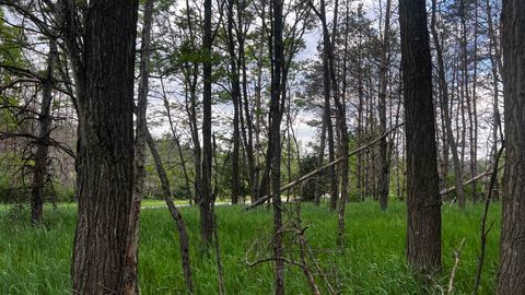 Tiny photo for LOT 73 Pine Drive, Montello, WI 53949 (MLS # 1988707)