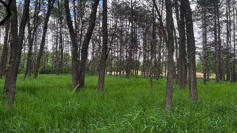 Tiny photo for LOT 73 Pine Drive, Montello, WI 53949 (MLS # 1988707)