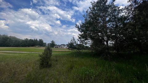 Tiny photo for LOT 73 Pine Drive, Montello, WI 53949 (MLS # 1988707)