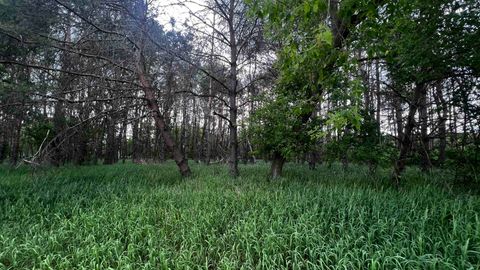 Tiny photo for LOT 73 Pine Drive, Montello, WI 53949 (MLS # 1988707)