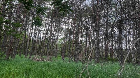 Tiny photo for LOT 73 Pine Drive, Montello, WI 53949 (MLS # 1988707)
