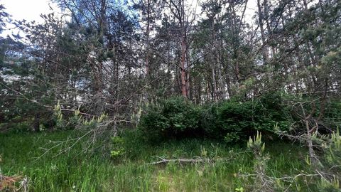 Tiny photo for LOT 73 Pine Drive, Montello, WI 53949 (MLS # 1988707)